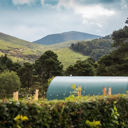 Further Space At Leitrim Lodge Luxury Glamping Pods Mourne Mountains 纽卡斯尔 外观 照片